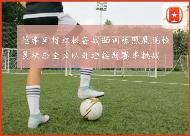 范弗里特积极备战晒训练照展现恢复状态全力以赴迎接新赛季挑战
