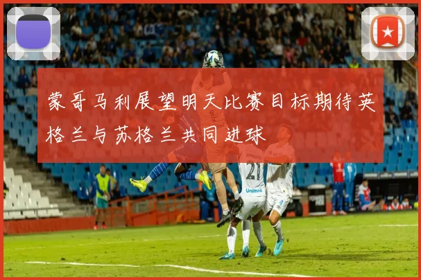 蒙哥马利展望明天比赛目标期待英格兰与苏格兰共同进球
